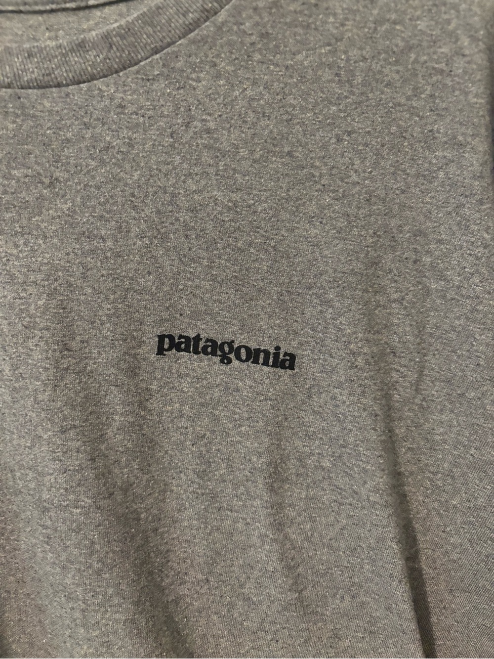 Patagonia Gray Graphic Interior-Print Tee